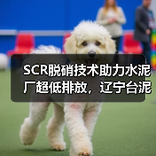 SCR脱硝技术助力水泥厂超低排放，辽宁台泥项目成功投运（图3）