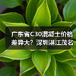 广东省C30混凝土价格差异大？深圳湛江茂名等热门城市最新行情（图1）
