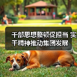 干部思想整顿促担当 实干精神推动集团发展(图4) 干部思想整顿促担当 实干精神推动集团发展(图4)