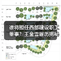 谁将担任西部建设职工董事？王金雪履历揭秘（图1）