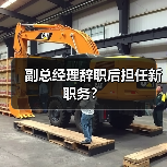 副总经理辞职后担任新职务？（图4）