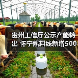 贵州工信厅公示产能转出 怀宁熟料线新增500吨产能(图4) 贵州工信厅公示产能转出 怀宁熟料线新增500吨产能(图4)
