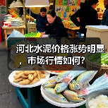 河北水泥价格涨势明显,市场行情如何?(图3) 河北水泥价格涨势明显,市场行情如何?(图3)