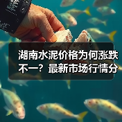湖南水泥价格为何涨跌不一?最新市场行情分析(图2) 湖南水泥价格为何涨跌不一?最新市场行情分析(图2)