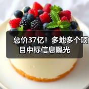 总价37亿！多地多个项目中标信息曝光（图2）