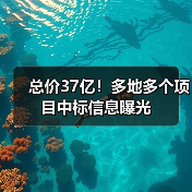 总价37亿！多地多个项目中标信息曝光（图3）