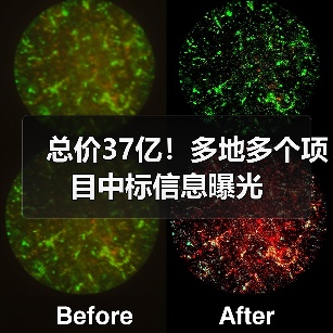 总价37亿！多地多个项目中标信息曝光（图4）