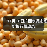 11月18日广西水泥市场价格行情动态（图1）