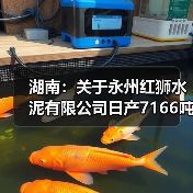 湖南：关于永州红狮水泥有限公司日产7166吨水泥熟料生产线项目补充产能置换方案的公告（图4）