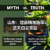 山东：冠县精准施策让蓝天白云常驻（图1）