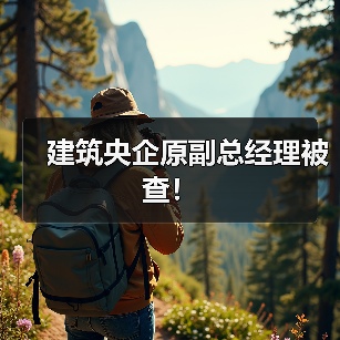 建筑央企原副总经理被查！（图4）