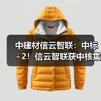 中建材信云智联：中标+2！信云智联获中核集团、中船集团两家世界500强央企认可（图2）
