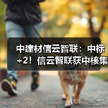 中建材信云智联：中标+2！信云智联获中核集团、中船集团两家世界500强央企认可（图3）