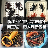 浙江7亿中标高铁站路网工程！南太湖新区基建升级（图1）