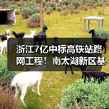 浙江7亿中标高铁站路网工程！南太湖新区基建升级（图3）
