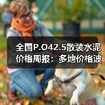全国P.O42.5散装水泥价格周报：多地价格波动 云南降幅明显（图4）