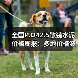 全国P.O42.5散装水泥价格周报：多地价格波动 云南降幅明显（图2）