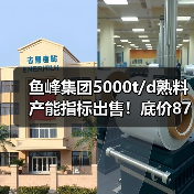 鱼峰集团5000t/d熟料产能指标出售！底价8700万引热议