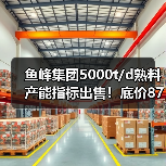 鱼峰集团5000t/d熟料产能指标出售！底价8700万引热议（图3）