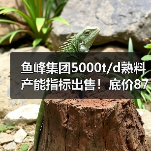 鱼峰集团5000t/d熟料产能指标出售！底价8700万引热议（图2）