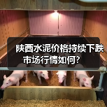 陕西水泥价格持续下跌 市场行情如何？（图4）