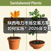 陕西电力市场交易方案如何实施？2026年交易规则详解（图2）