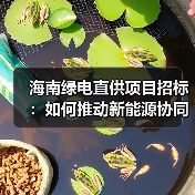 海南绿电直供项目招标：如何推动新能源协同发展？