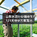 山东水泥行业错峰生产121天停窑方案落地，企业如何应对？（图3）