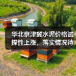 华北京津冀水泥价格试探性上涨，落实情况待观察