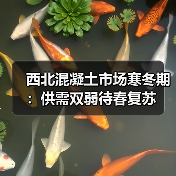 西北混凝土市场寒冬期：供需双弱待春复苏（图2）