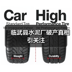 临武县水泥厂破产真相引关注（图4）