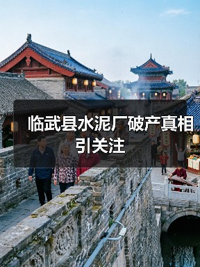 临武县水泥厂破产真相引关注（图3）