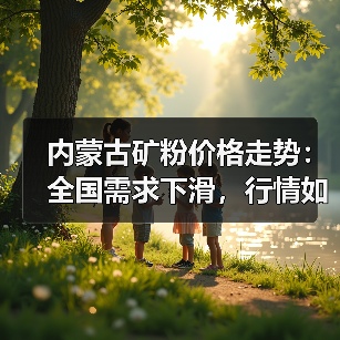 内蒙古矿粉价格走势:全国需求下滑,行情如何?(图1) 内蒙古矿粉价格走势:全国需求下滑,行情如何?(图1)
