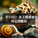 超13亿！多工程项目中标名单曝光