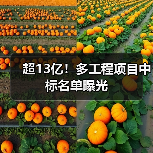 超13亿!多工程项目中标名单曝光(图4) 超13亿!多工程项目中标名单曝光(图4)