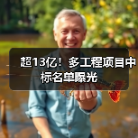 超13亿!多工程项目中标名单曝光(图2) 超13亿!多工程项目中标名单曝光(图2)