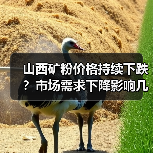 山西矿粉价格持续下跌？市场需求下降影响几何？（图4）