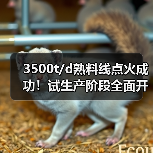3500t/d熟料线点火成功!试生产阶段全面开启(图2) 3500t/d熟料线点火成功!试生产阶段全面开启(图2)