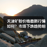 天津矿粉价格最新行情如何?市场下跌趋势明显(图3) 天津矿粉价格最新行情如何?市场下跌趋势明显(图3)