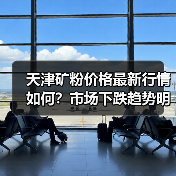 天津矿粉价格最新行情如何？市场下跌趋势明显
