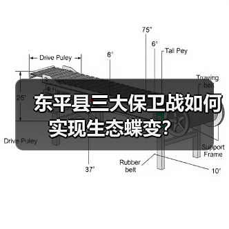 东平县三大保卫战如何实现生态蝶变？