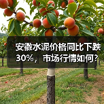 安徽水泥价格同比下跌30%，市场行情如何？（图3）