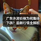 广东水泥价格为何集体下跌？最新行情全解析（图4）