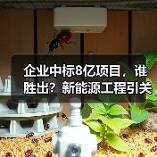企业中标8亿项目,谁胜出?新能源工程引关注(图3) 企业中标8亿项目,谁胜出?新能源工程引关注(图3)
