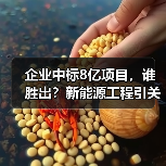 企业中标8亿项目，谁胜出？新能源工程引关注