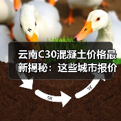云南C30混凝土价格最新揭秘：这些城市报价相差近100元（图2）