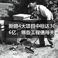 新疆4大项目中标达30.6亿，哪些工程值得关注？（图2）
