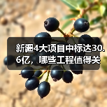 新疆4大项目中标达30.6亿，哪些工程值得关注？