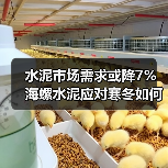 水泥市场需求或降7% 海螺水泥应对寒冬如何稳住盈利？（图3）
