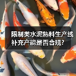 限制类水泥熟料生产线补充产能是否合规?(图1) 限制类水泥熟料生产线补充产能是否合规?(图1)